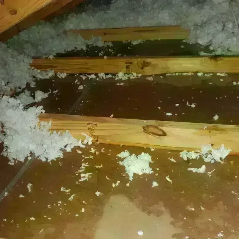 Attic Water Damage in Sac City, IA