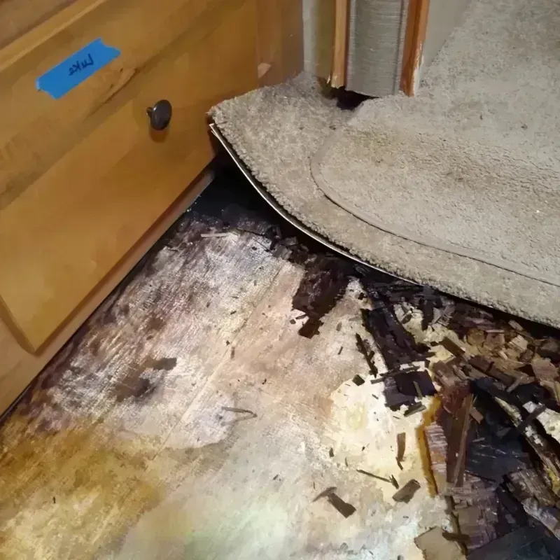 Wood Floor Water Damage in Sac City, IA